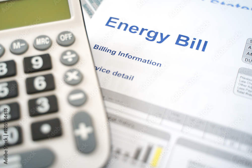 Electric bill statement and home energy consumption Electric bill statement and home energy consumption
