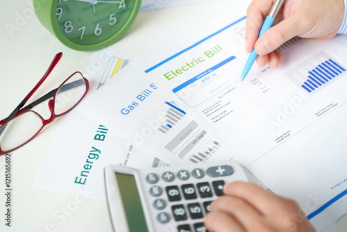 Gas bill statement and home energy consumption