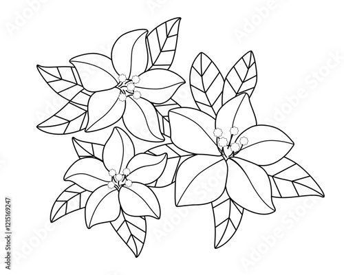 Spring flowers. Inflorescences and young tender leaves on flowering trees. Inflorescences from trees - a linear vector element for coloring. Flowers of the spring garden. Outline. Hand drawing.	