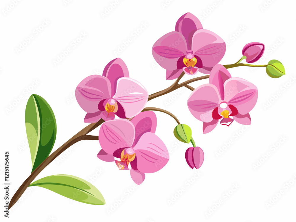 Pink orchid flower branch with buds and flowers. Vector illustration isolated on white, romantic background or floral banner. Elegant Floral Vector for Creative Design. Pink orchid flower branch with buds and flowers. Vector illustration isolated on white, romantic background or floral banner. Elegant Floral Vector for Creative Design.