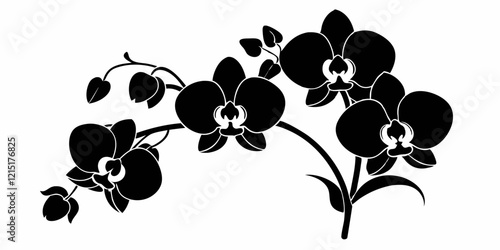 Black silhouette of orchid flowers. Vector illustration.