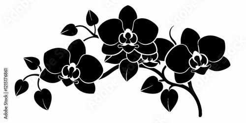 Black silhouette of orchid flowers. Vector illustration.