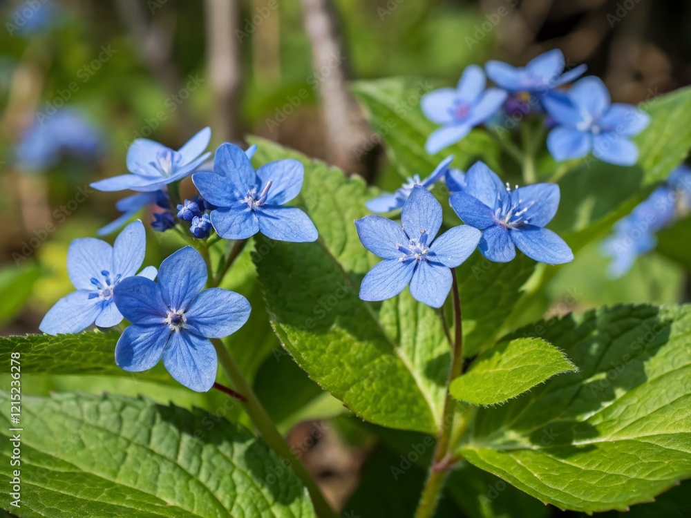 Macro Photography: Four Vibrant Blue Flowers with Lush Green Leaves Macro Photography: Four Vibrant Blue Flowers with Lush Green Leaves