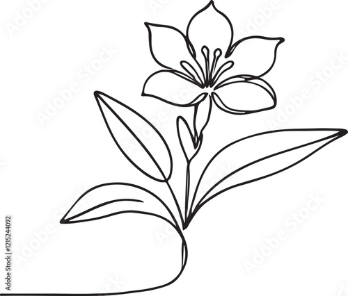 Elegant Tuberose Flower Line Drawing on White Background