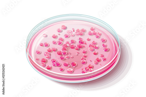 petri dish isolated illustration