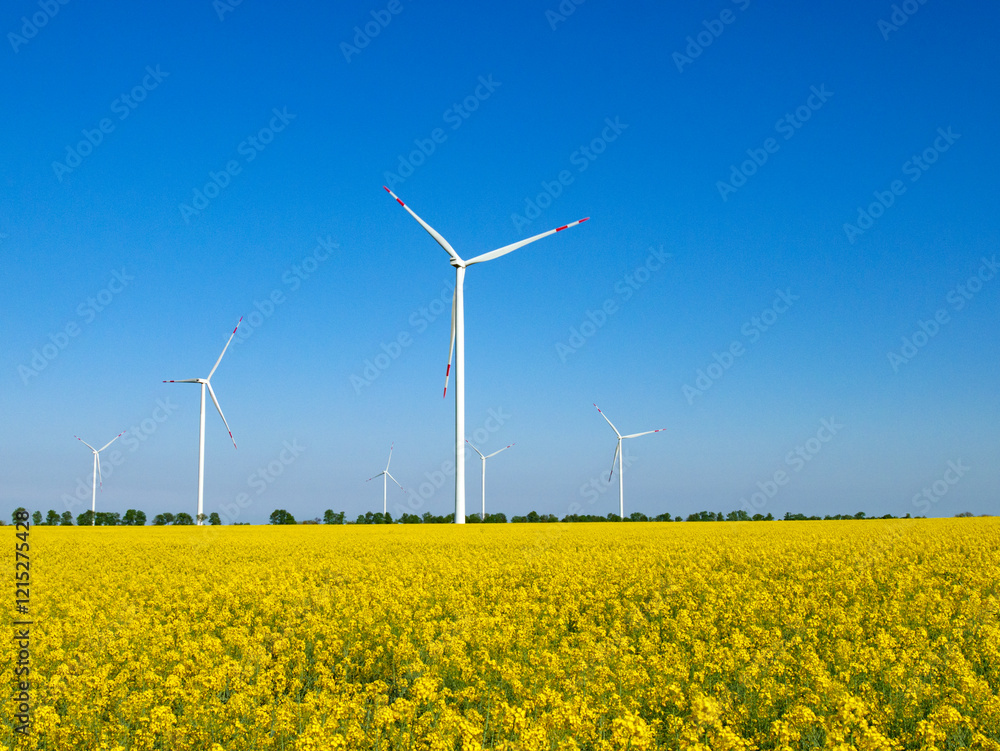 Wind Turbine in a Yellow Flower Field of Rapeseed. Wind Mill Park Generating Electricity. Green Environment Wind Turbine in a Yellow Flower Field of Rapeseed. Wind Mill Park Generating Electricity. Green Environment