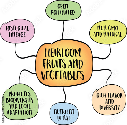 Heirloom fruits and vegetables, cultivated and passed down through generations due to their unique flavors, colors, and other desirable traits. Mind map infographics sketch.