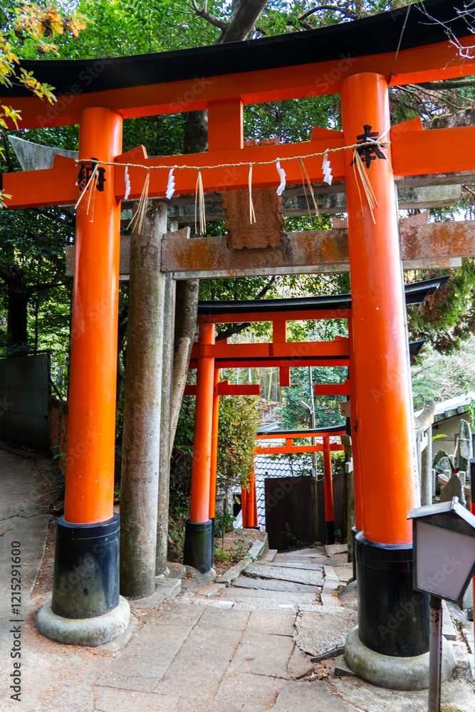 shinto shrine arches in Fushimi Inari in Japan shinto shrine arches in Fushimi Inari in Japan