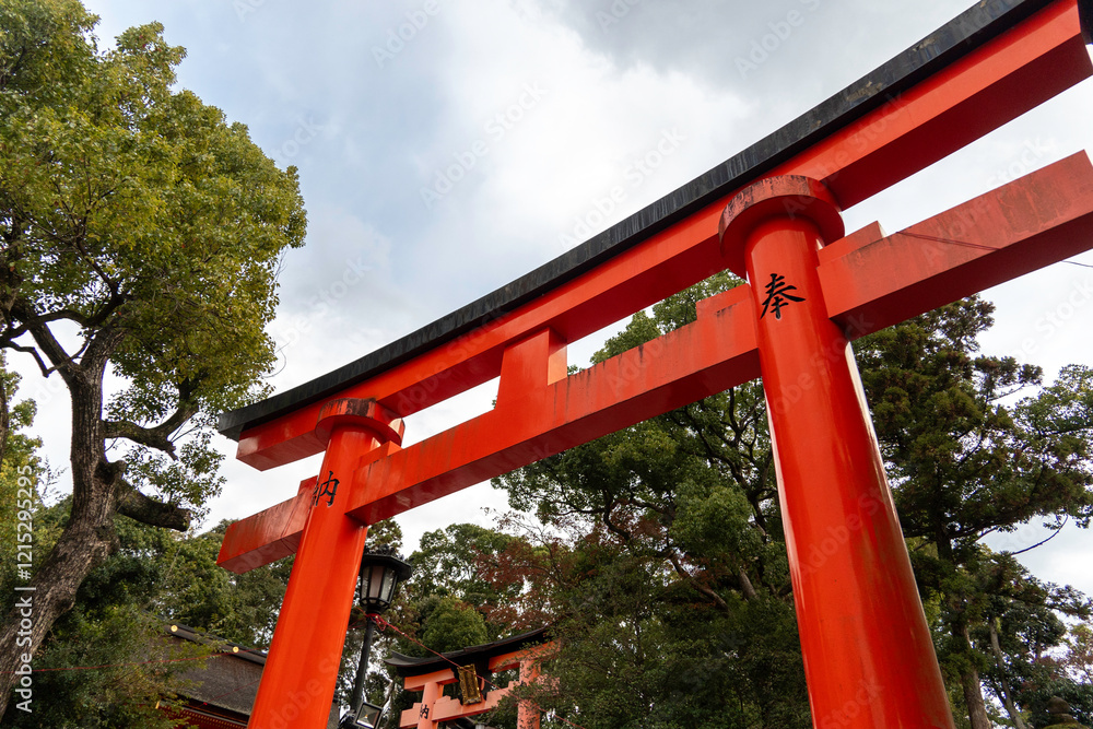 shinto shrine arches in Fushimi Inari in Japan shinto shrine arches in Fushimi Inari in Japan