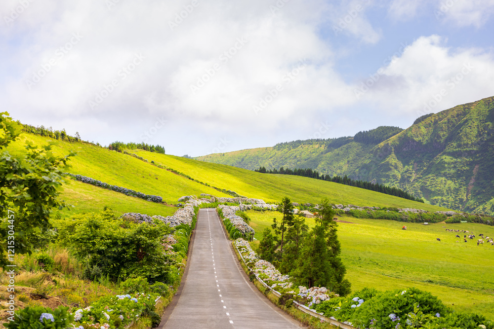 Beautiful road with green fields in Sete Cidades. Sao Miguel island, Azores, Portugal Beautiful road with green fields in Sete Cidades. Sao Miguel island, Azores, Portugal