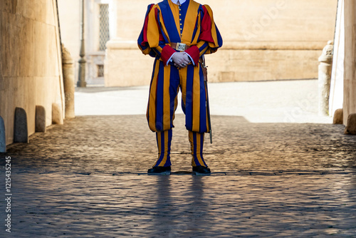 Obraz na plátně Swiss Guard at Vatican City