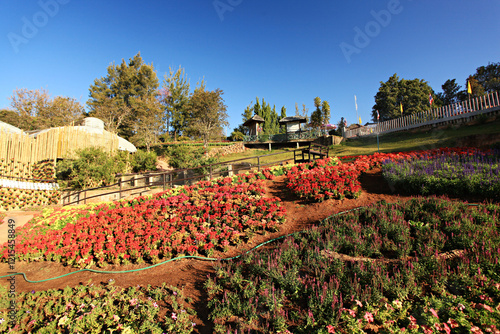 Beautiful nature of Royal Garden Siri Phum and Royal 80 Garden in Inthanon Royal Project Chiang mai, Thailand photo