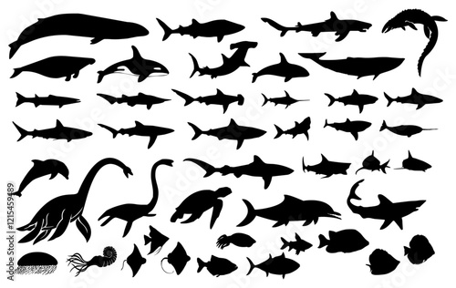 Marine Silhouette Symphony: A captivating assembly of black silhouettes showcasing the diverse marine life of the ocean, creating a dramatic and artistic visual.