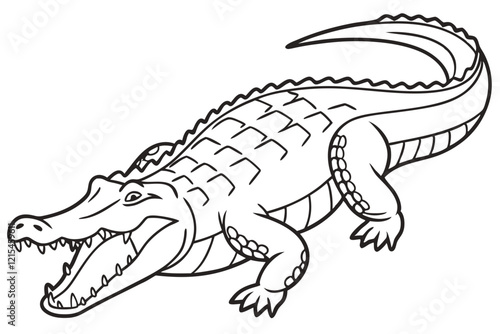 Crocodile Vector Illustration on White Background