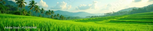 The earthy scent of coconut palms wafts through the air amidst a tranquil landscape of rolling green rice fields, rice fields, landscape, tropical