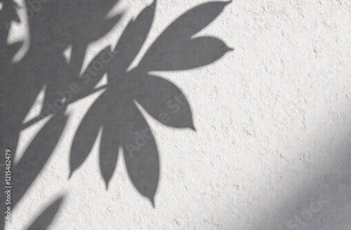 Black and White abstract background textuer of shadows leaf on a concrete wall. photo