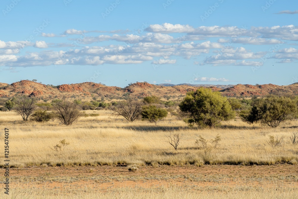 A thorny devil blending into the arid landscape of the Outback, its spiky body adapted for desert life. A thorny devil blending into the arid landscape of the Outback, its spiky body adapted for desert life.