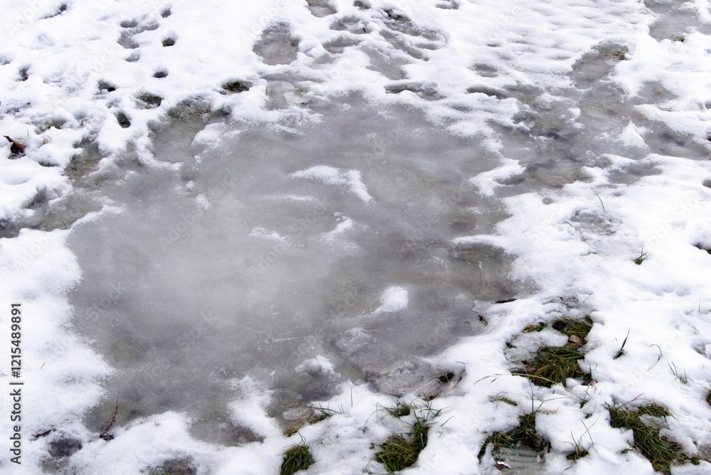 FROZEN PUDDLE IN THE SNOW FROZEN PUDDLE IN THE SNOW