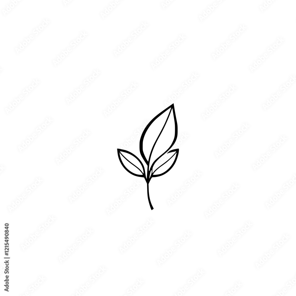 Simple Botanical Leaf Line Art: Minimalist Plant Illustration, Nature Sketch, Elegant Floral Design, Clean Vector Graphic Simple Botanical Leaf Line Art: Minimalist Plant Illustration, Nature Sketch, Elegant Floral Design, Clean Vector Graphic