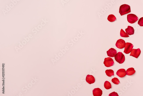 Rose petals on a pink background. Flat lay, top view. Copy space