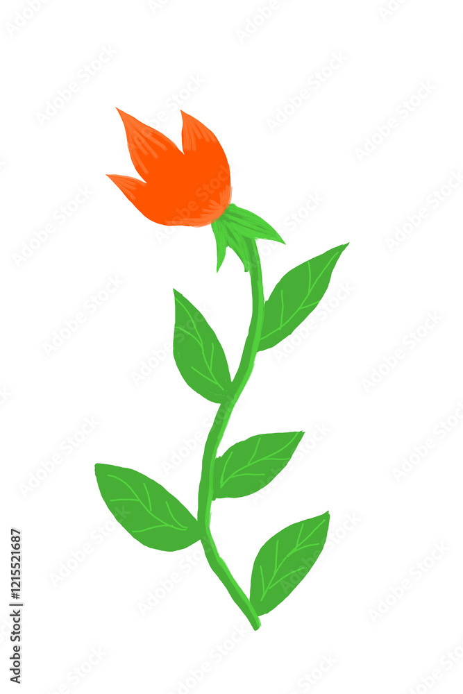 Flower Lily isolated transparent background Flower Lily isolated transparent background