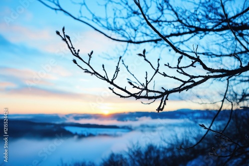 Ethereal twilight silhouette of branches at misty horizon nature landscape photography inviting atmosphere intimate perspective