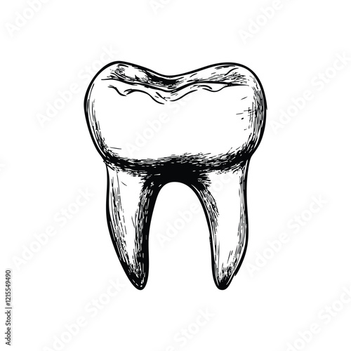 Hand-Drawn Tooth Icon - Dental Dentist Health Illustration
