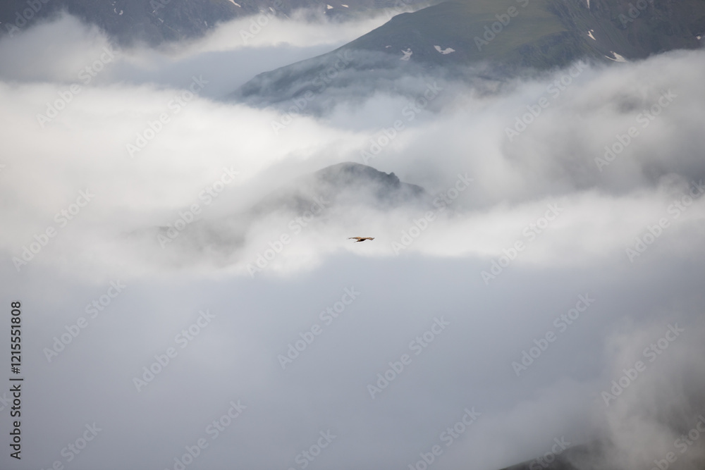 Nature landscapes formed by the sea of clouds on high plateaus. Huser Plateau Rize, Turkey Nature landscapes formed by the sea of clouds on high plateaus. Huser Plateau Rize, Turkey