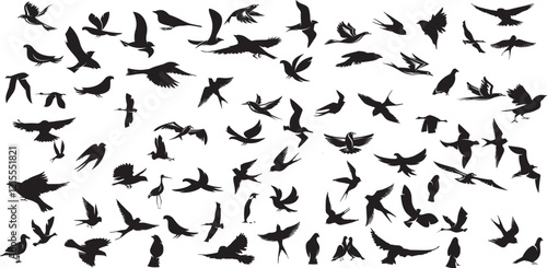 bird silhouette vector illustration, perfect for logo design, art projects, and graphic design.