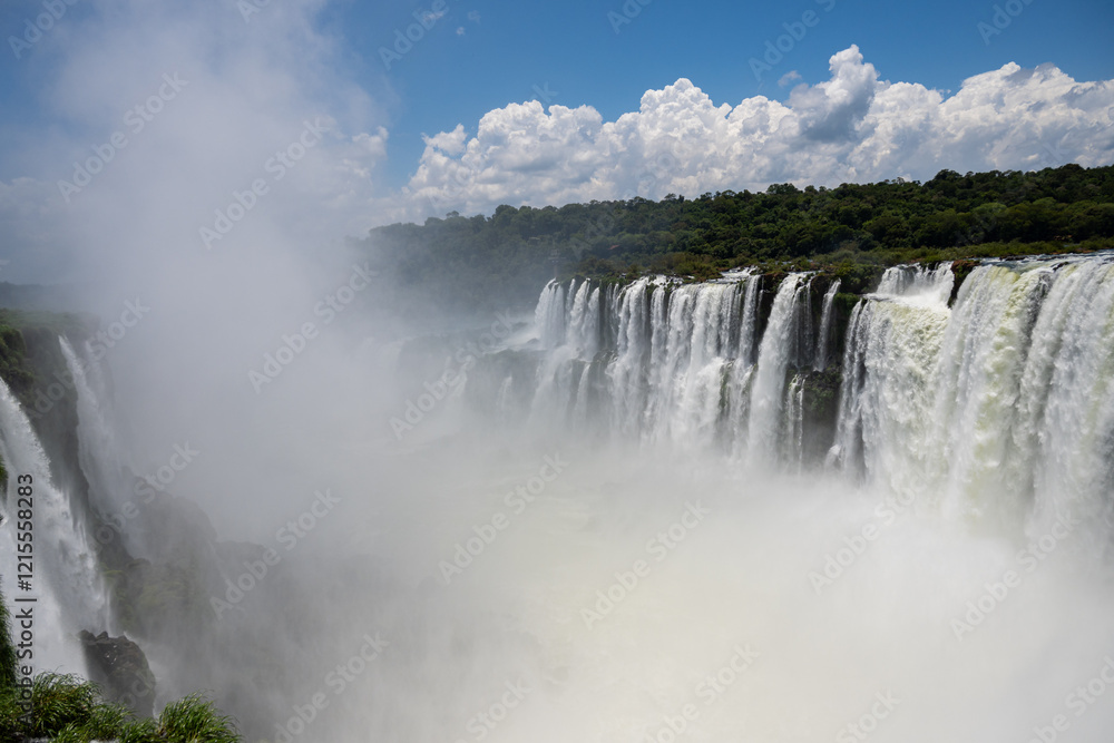 Fototapeta premium Brasilien, Pflanzen, Tiere, Landschaften, Wasser 