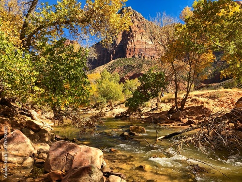 Fall on the Virgin River in Zion National Park Utah. photo