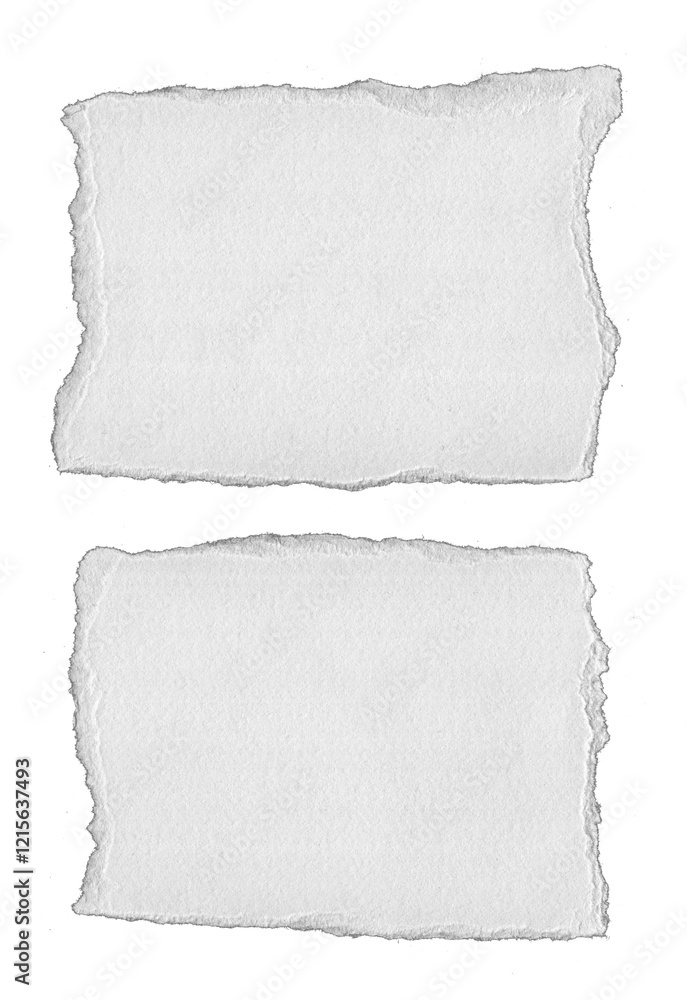 Obraz premium Torn Paper Edge Texture Background