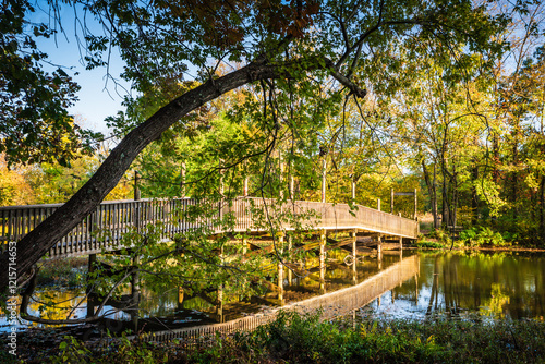 The Boardwalk Trail at the Springfield Conservation Nature Center in Springfield, Missouri s a 2.1 loop in the forest.
