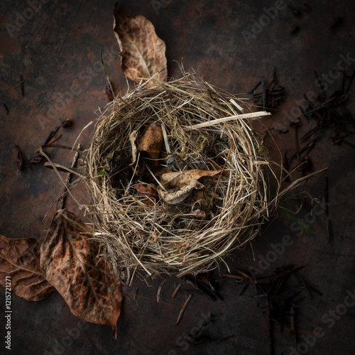 Birds Nest still life on a dark background taken from overhead. This empty nest has a warm and textural feel with intricate weaving of branches and grasses with added dried leaves.