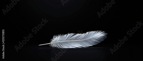 Artistic image of a single white feather resting on a dramatic dark background, artistic image, nature-inspired, dramatic, tranquil photo