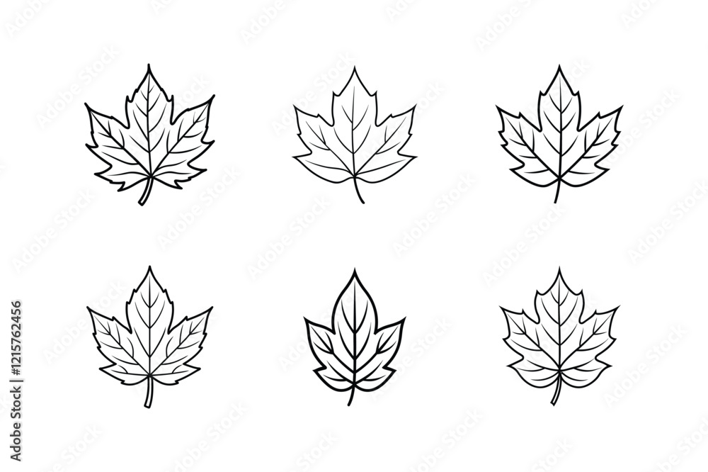 fall leaf vector line art illustration fall leaf vector line art illustration