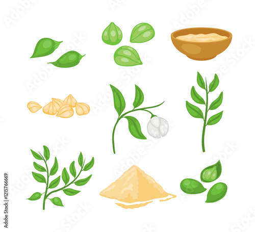 Set of chickpeas collection, Annual Legume Plant with Green Stems and Proteinic Beige Peas Poured in Bowl with seeds, powder , flower and sliced chickpeas, flat vector illustration.