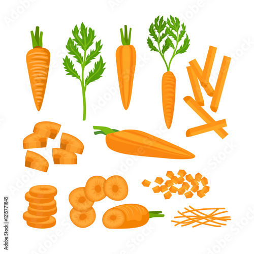 Set of carrot kit collection with carrot Root Vegetable, Top Leaves Whole and Sliced Big Vector Set. Fresh Plant Agricultural Crop Harvest and Cultivation, isolated on white background.