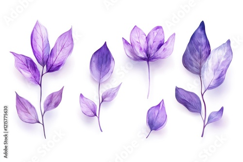 Set of watercolor purple flowers and leaves, vector illustration on white background