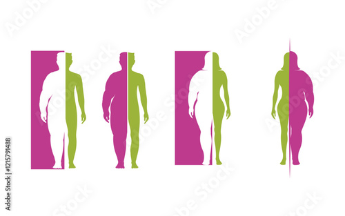 Body mass index vector illustration design template