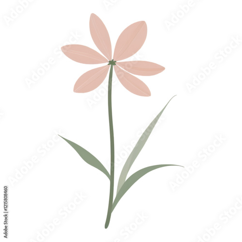 Wildflower with Pink Petals and Green Stems