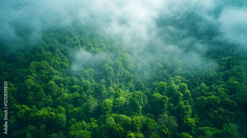 A serene aerial view of a tropical rainforest shrouded in fog sunlight streaming through the dense canopy vibrant greenery creating a sense of mystery calm minimalistic tone with blank space for capti photo