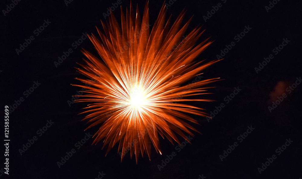 Fireworks in the night sky Fireworks in the night sky