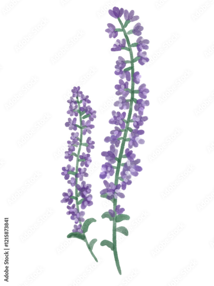 Obraz premium Many kinds of flowers with minimal relaxing styles 