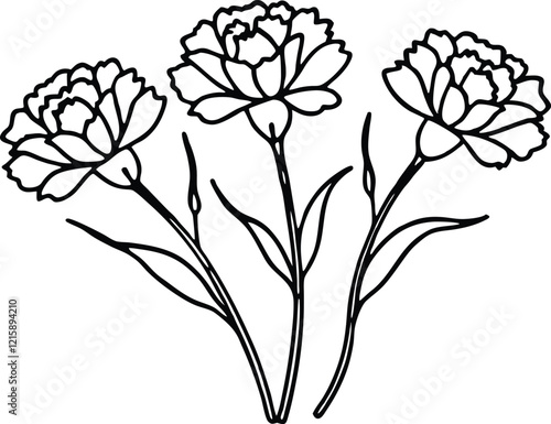 Elegant Carnation Line Art with Leaves and Buds in Black and White Vector Design