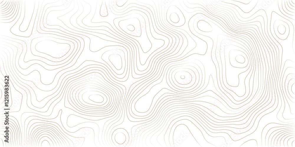 Fototapeta premium Abstract lines background. Contour maps. Topo contour map on white background. Abstract background with waves Geographic mountain relief.
