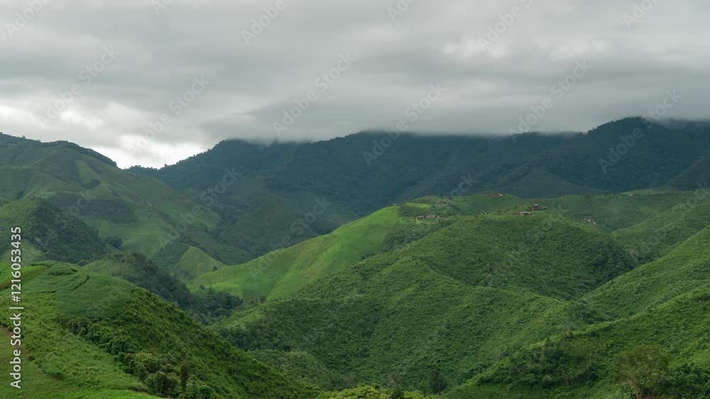 green forrest and mountain .Top view of countryside road passing through the green forrest and mountain .Top view of countryside road passing through the