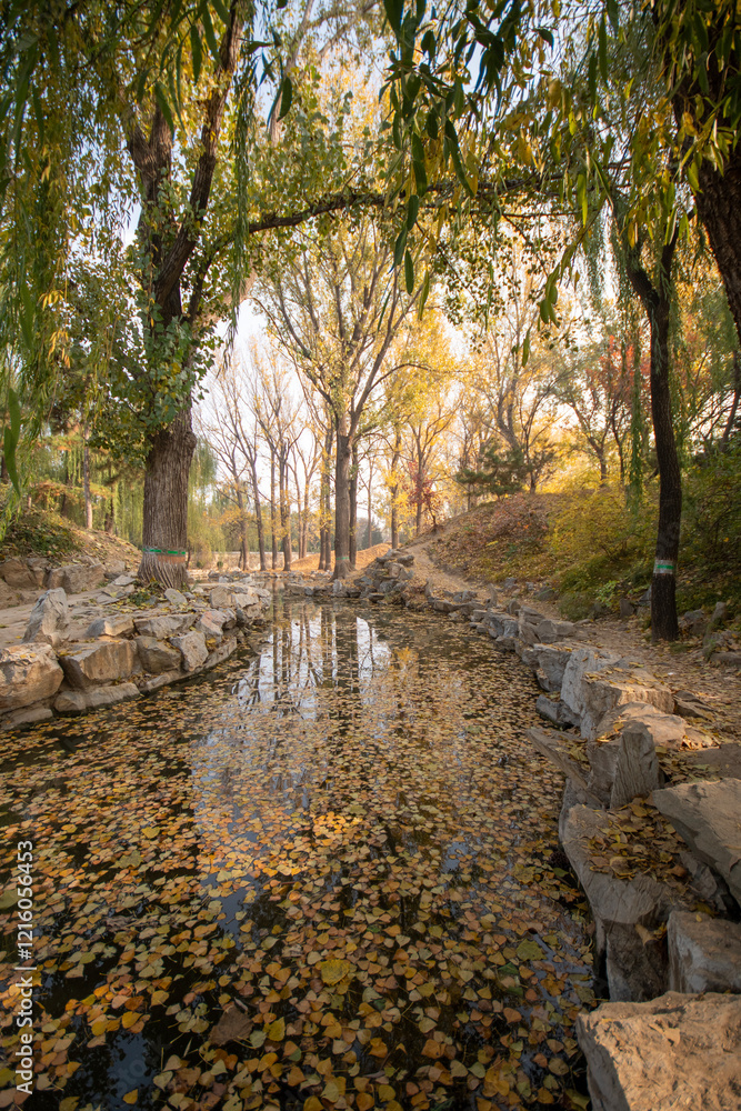 Obraz premium Beautiful autumn view of Yuanmingyuan Park in Beijing, China
