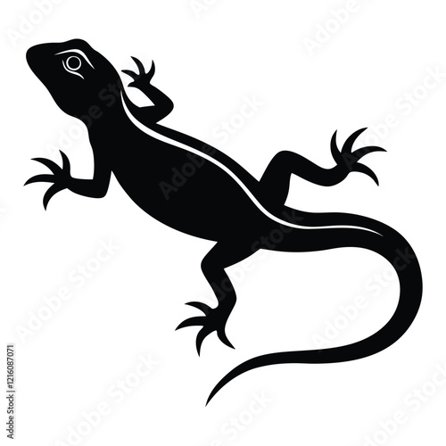 lizard on white background