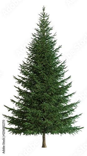 Simple undecorated Christmas tree with no ornaments on white AI generative.. photo